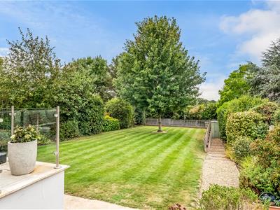 Picture 31